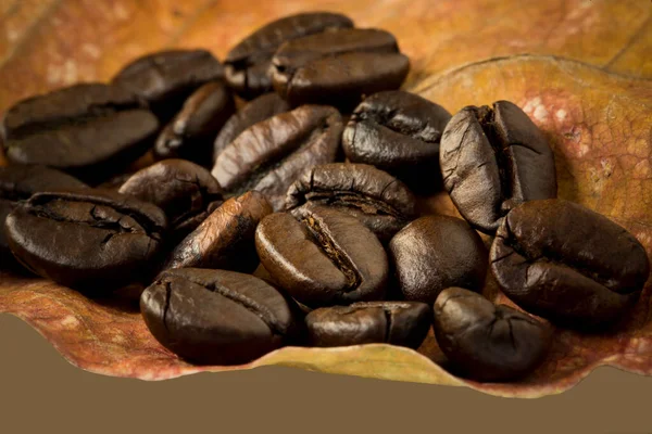 Fresh Coffee Beans Background — Stock Photo, Image