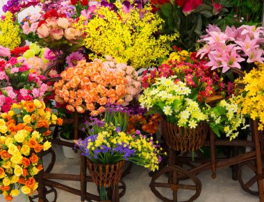 Stüdyo ortamında siyah bir arkaplan karşısında renkli çiçekler