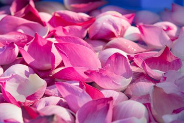 Düğün çiçeklerinin süslemesi