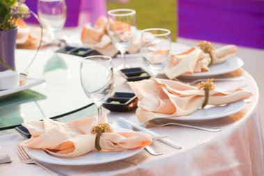 Harika bir düğün sandalyesi ve açık havada güzel bir yemek için sofra.