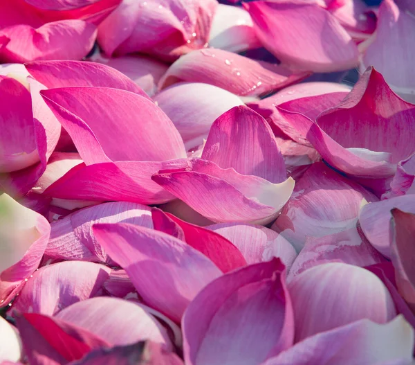 Düğün çiçeklerinin süslemesi