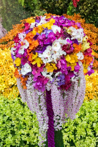 美しい色の様々な蘭の花 — ストック写真