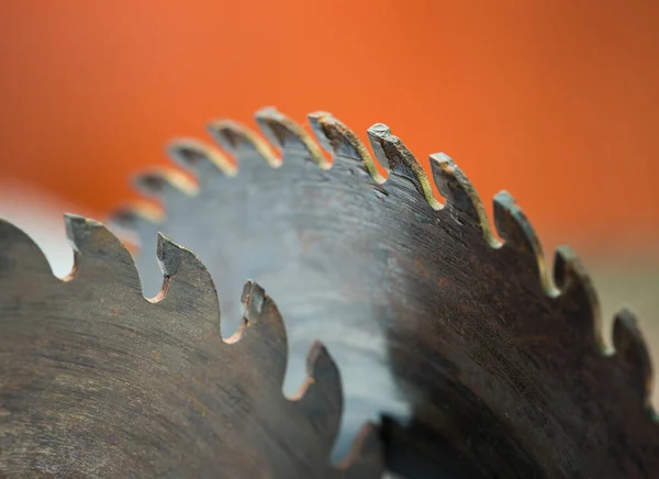 Betongskär Blad Vit Bakgrund — Stockfoto