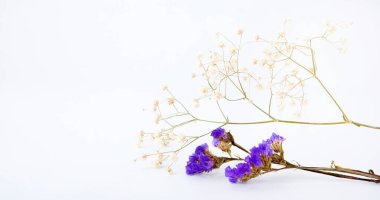 Beyaz arkaplandaki spa mumu