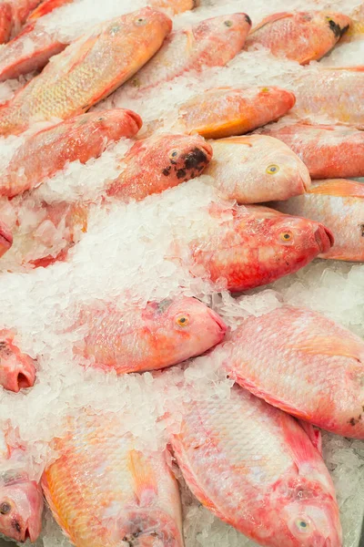Свежие Рыбы Льду Рыбном Рынке — стоковое фото