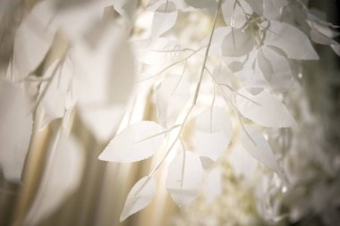 Düğünde güzel dekore edilmiş ve düzenlenmiş çiçekler.