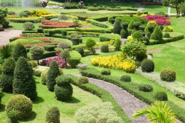 Bahçede peyzaj. Bahçedeki patika.