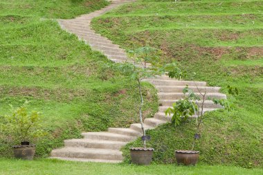 Bahçede peyzaj. Bahçedeki patika.