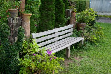 Bahçede peyzaj. Bahçedeki patika.