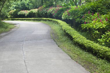 Bahçede peyzaj. Bahçedeki patika.