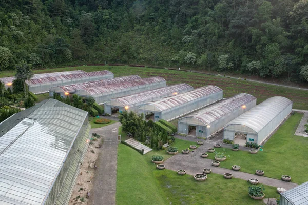 Greenhouses Growing Plants Showcase Tourists —  Fotos de Stock