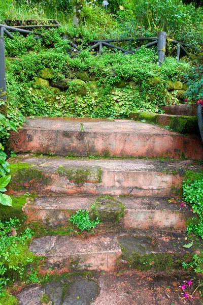 Landscaping Garden — Stock Photo, Image