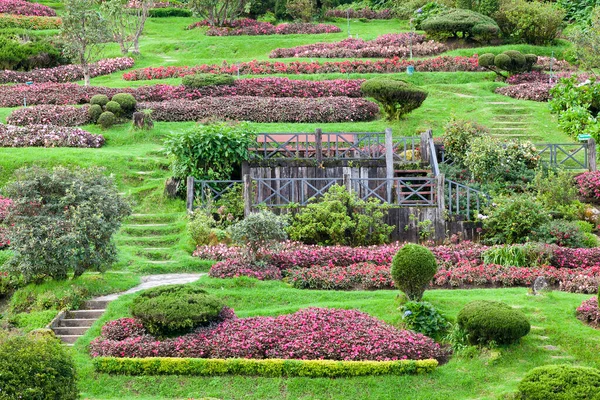 Paisajismo Jardín Camino Jardín — Foto de Stock