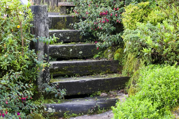 Gartengestaltung Der Weg Garten — Stockfoto