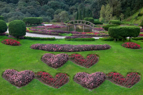 Bahçede peyzaj. Bahçedeki patika.