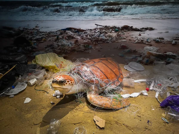 Müzede deniz kaplumbağaları ve çöpler sergileniyor.