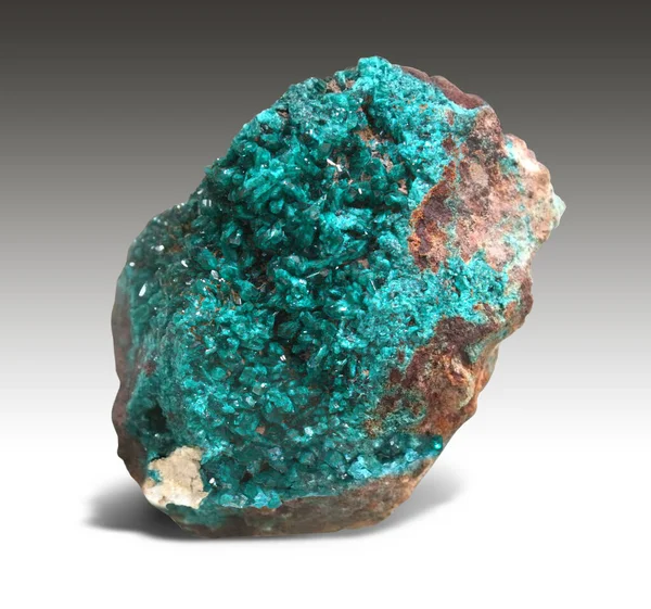 Fine Sample Dioptase Green Crystals Very Reminiscent Emeralds Zaire Africa — Stock Photo, Image