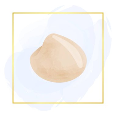 Beige Seashell Clipart, Watercolor Clipart, Summer Clipart, Sealife Scrapbook, Beach Clipart, Scrapbook Elementleri