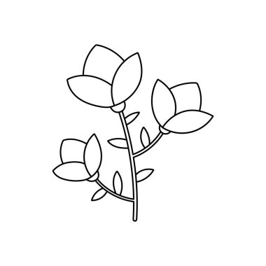 Çizgi çizim çizimi çiçek çizimi.