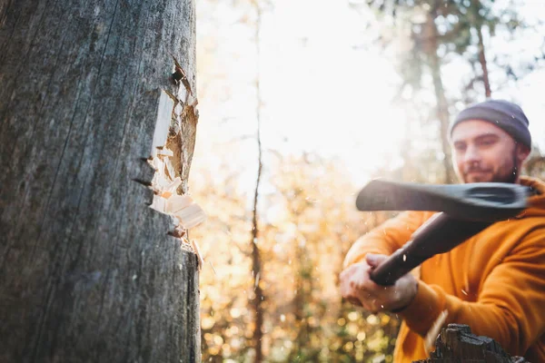 Güçlü Ellere Baltayı Yakın Tut Oduncu Oduncu Ormanda Ağaç Keser — Stok fotoğraf