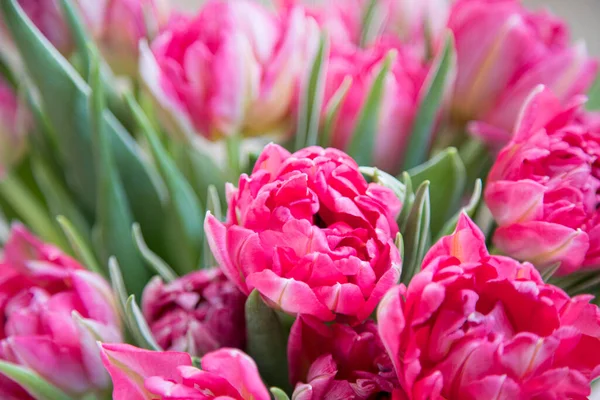 Bouquet di tulipani rosa da vicino, c'è spazio per un'iscrizione — Foto Stock