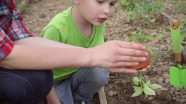 Küçük bir çocukla birlikte bir kadın seraya fidanlar ekiyor. Bir çocuk toprağa biber filizi ekiyor. Annem oğluna toprağa sebze ekmeyi öğretiyor.