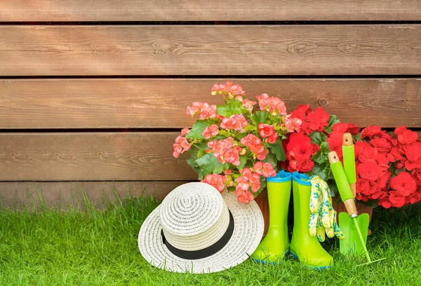 Ahşap arka plan, bahçe aletleri ve şapkası var. Tasarımınız için boş alan