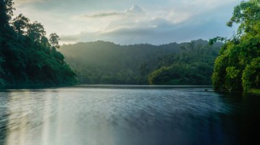 Green texture background, green tone complete natural mountain water area Thailand.