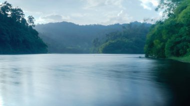 Green texture background, green tone complete natural mountain water area Thailand.