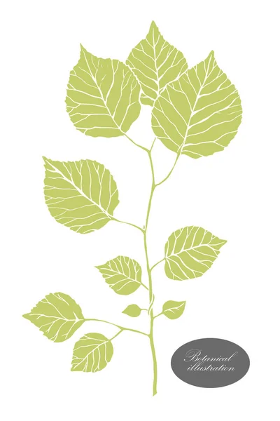 Biologisch botanisch ontwerp template. Handgetekende Vectortakje illustratie — Stockvector