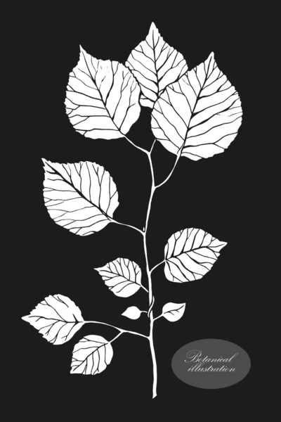 Biologisch botanisch ontwerp template. Handgetekende Vectortakje illustratie — Stockvector