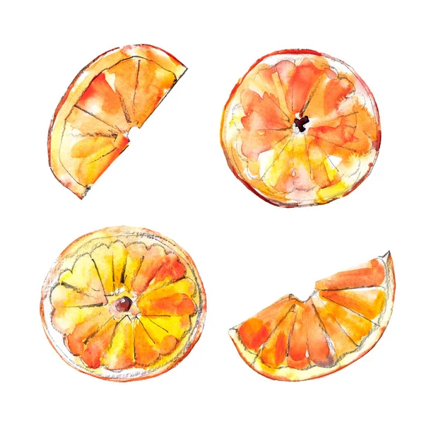 Ensemble Tranches Orange Illustration Aquarelle Objets Isolés Sur Fond Blanc — Photo