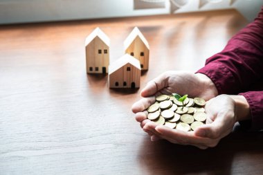 Ekin filizlenmesi, Asyalı işadamlarının elinde büyüyen bozuk paraların üzerinde ev modeli ile ev satın almak için para biriktirmek veya risk yatırımlarında gayrimenkul almak için.