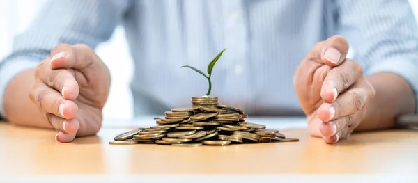 Asian Businessman Hand Protecting Plant Sprouting Growing Pile Coins Table — Stockfoto