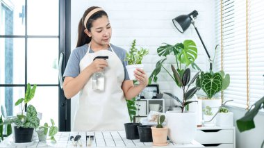Asyalı kadın bahçıvan elinde bir saksı bitki tutuyor ve evdeki bitkilere gübre suyu püskürterek ev bahçesi kavramını, hobi aktivitesini ayakta tutuyor.