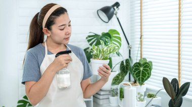 Asyalı kadın bahçıvan elinde bir saksı bitki tutuyor ve evdeki bitkilere gübre suyu püskürterek ev bahçesi kavramını, hobi aktivitesini ayakta tutuyor.