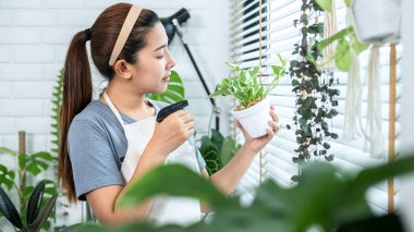 Asyalı kadın bahçıvan elinde küçük bir ev bitkisi tutuyor sprey şişe sulama bitkileri ve evdeki pencere kenarındaki bitkilerle ilgilenirken hobi olarak ev bahçesi kavramını kullanıyor.