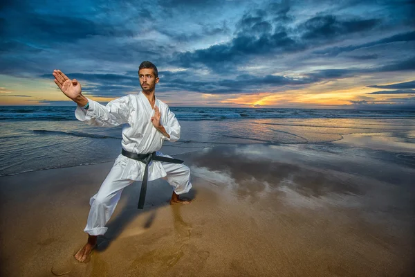 Karate-Meister in Abwehrposition Stockfoto