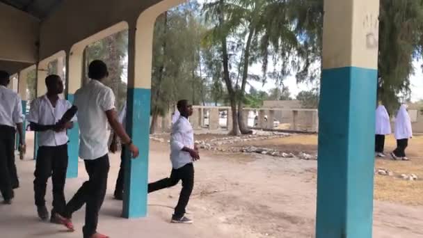 NUNGWI, ZANZIBAR, 2018年2月20日-アフリカの少年たちが小学校の前で — ストック動画