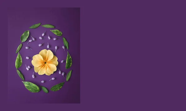 Paaseieren Gemaakt Van Bloemen Bladeren Violette Achtergrond Pasen Achtergrond Met — Stockfoto