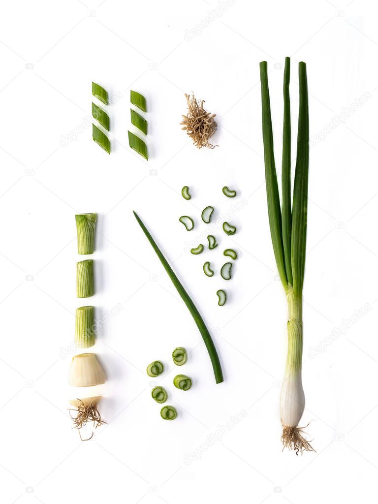 Green onion isolated on white background. Overhead shot. Knolling concept.