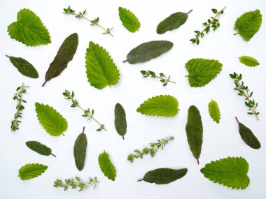 Taze bitkiler - beyaz arka planda izole edilmiş nane, adaçayı ve kekik. Tepeden. Düğüm konsepti.