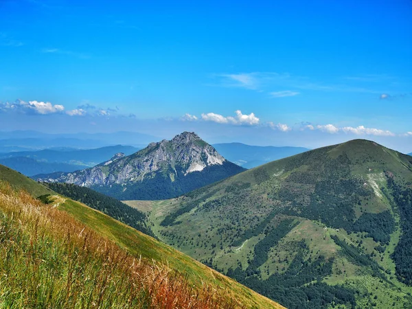 Kamenný Vrchol Big Rozsutec Národním Parku Malá Fatra Slovensko Letní — Stock fotografie