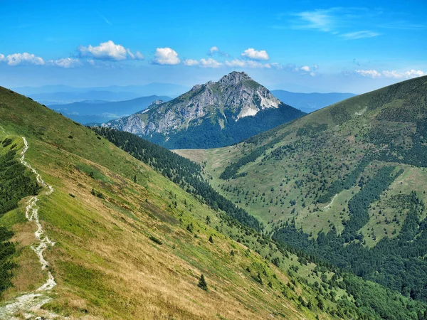 Pico Pedregoso Big Rozsutec Parque Nacional Little Fatra Eslováquia Hora — Fotografia de Stock