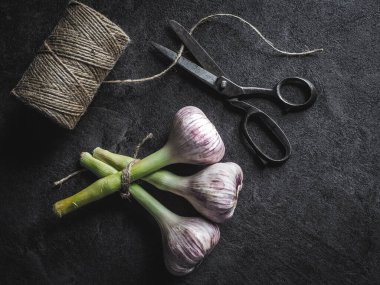 Üç tane taze sarımsak soğanı, kaliteli makas ve siyah arka planda sicim. Tepeden çekim. Karanlık ve karamsar. 