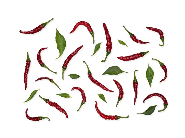 Tuore Punainen Kuuma Chili Paprikat Vihreät Lehdet Valkoisella Taustalla Ruokakuvio — kuvapankkivalokuva