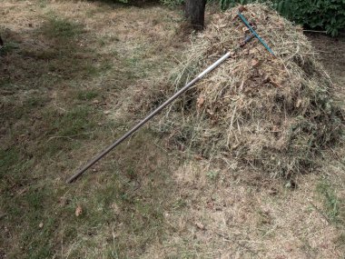 Bahçedeki saman yığınını tırmıkla. Bahçe konsepti.