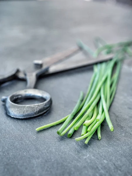 Gros Plan Ciboulette Fraîche Ciseaux Vintage Sur Une Table Gris — Photo