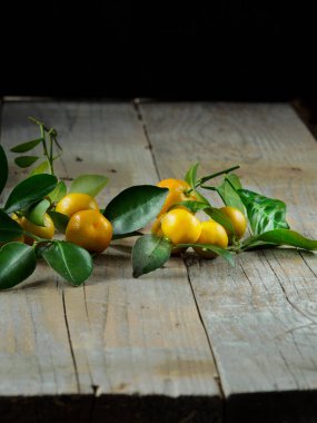 Tahta masadaki kumkatlar. Boşluğu kopyala