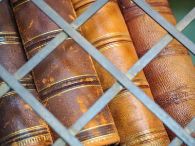 Demir ızgarasının arkasındaki kitaplıkta eski kitaplar var. Kapat..